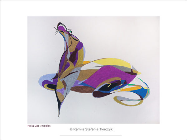 Foka Los Angeles 40x30 poziom s