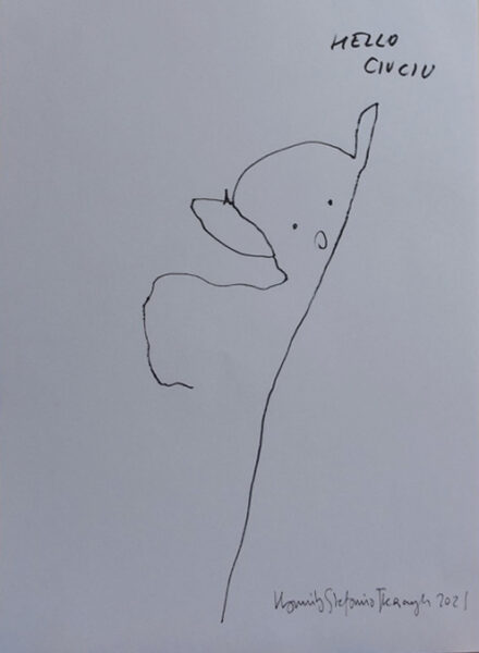 001 cg Hello Ciuciu 2021