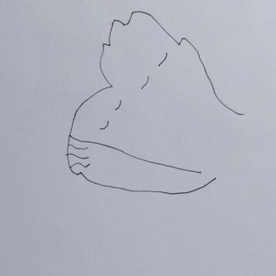 186 pi Togather 2021