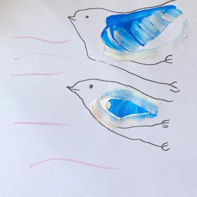 220 pi Fruwające delfiny 2021