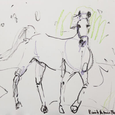 001 h White horse 30 x 40 2022 s