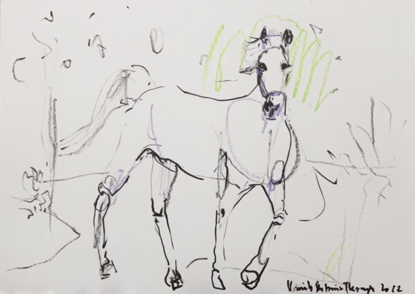 001 h White horse 30 x 40 2022 s