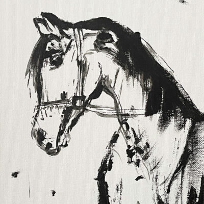 006 h Beautiful horse 18 x 24 2022 s