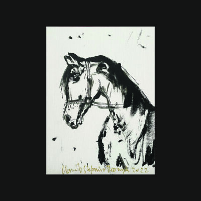 006 h Beautiful horse 18 x 24 2022 backg